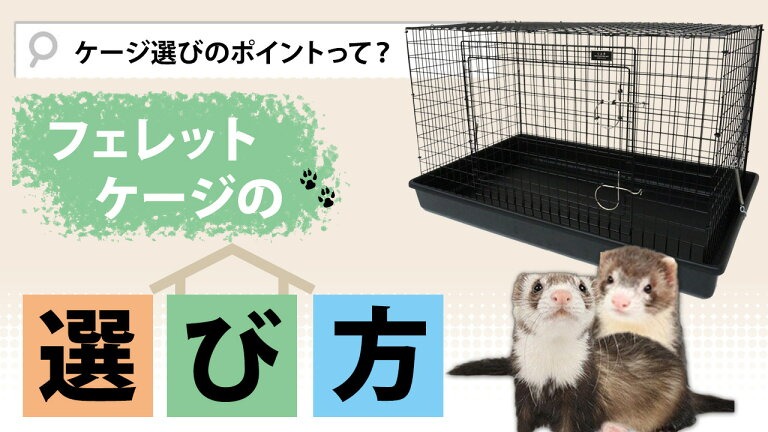 フェレットケージの選び方