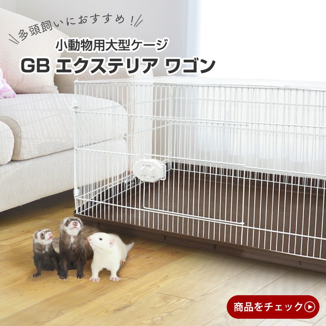 フェレットケージの選び方