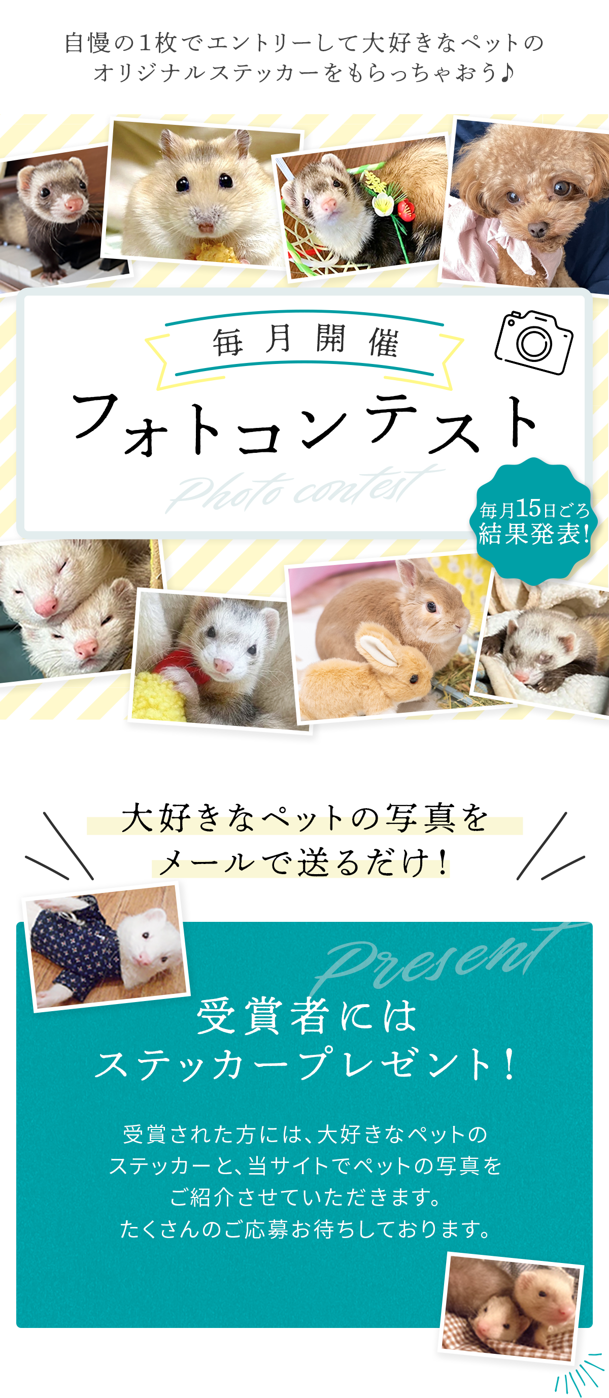 毎月開催フォトコンテスト