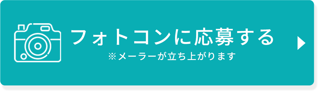 応募する