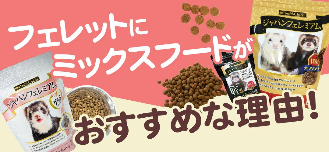 フェレットのフード選び