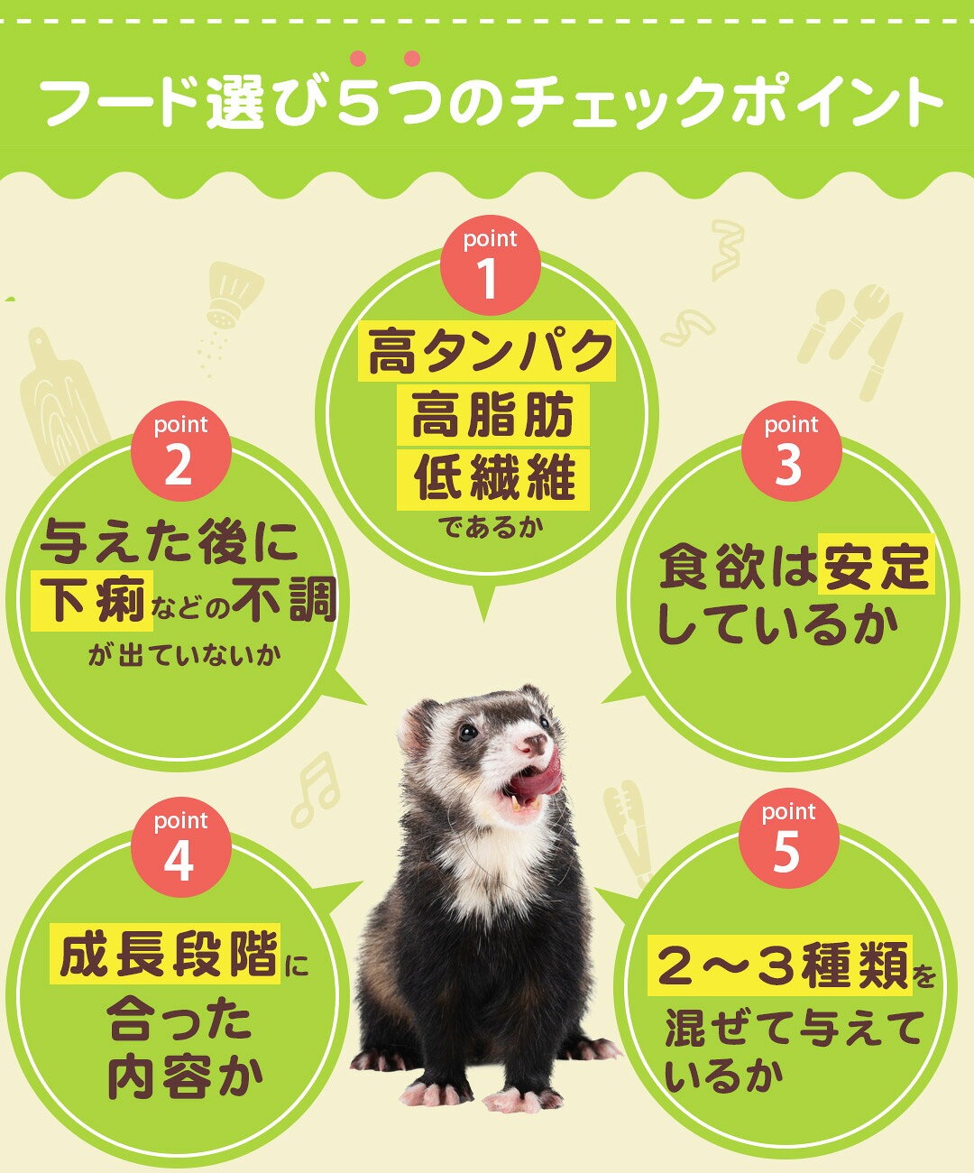 フェレットのフード選び