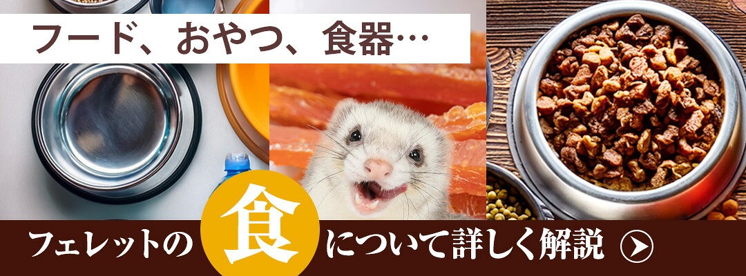 フェレットのフード選び