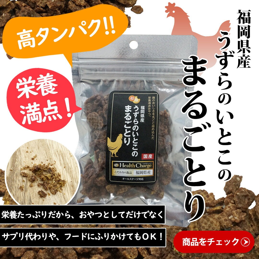 フェレットのフード選び