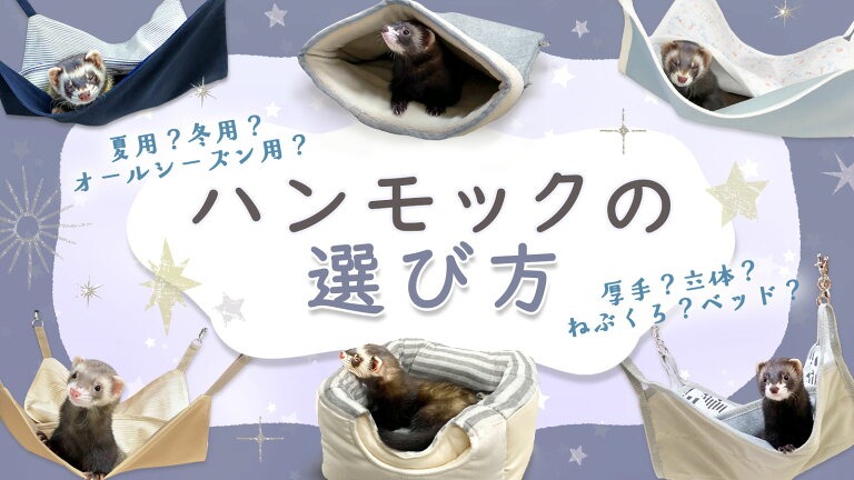 hammock0118073563.jpg