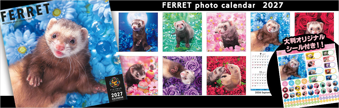 飼育セット ・スタンダード | フェレットワールド WEB SHOP