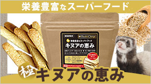 kinua20260306.jpg