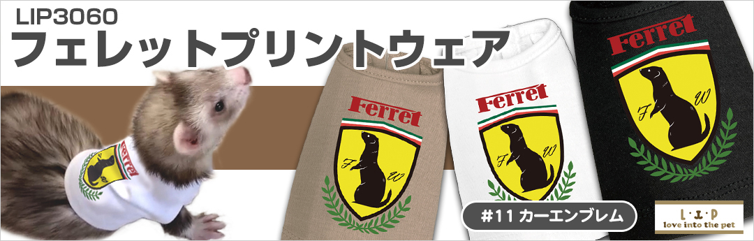 フェレット飼育セット | フェレットワールド WEB SHOP