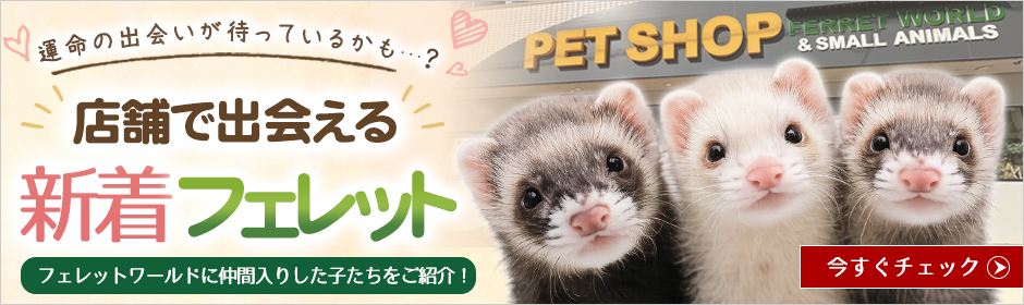 フェレット飼育セット | フェレットワールド WEB SHOP