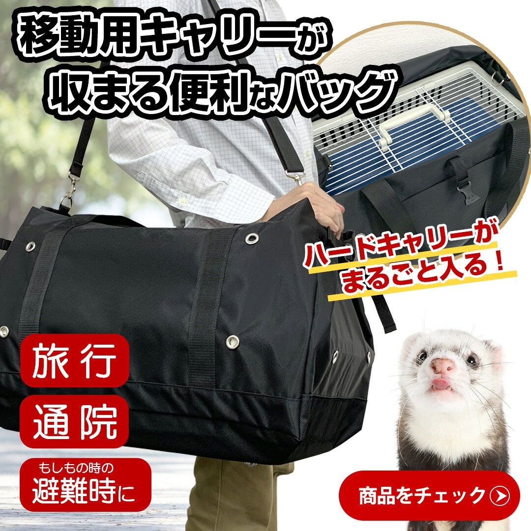 フェレットとお出掛けしよう♪