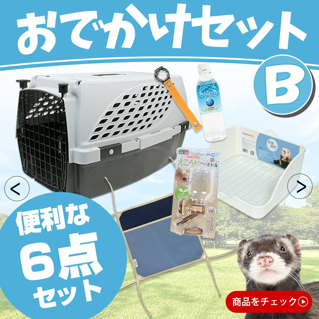 フェレットとお出掛けしよう♪
