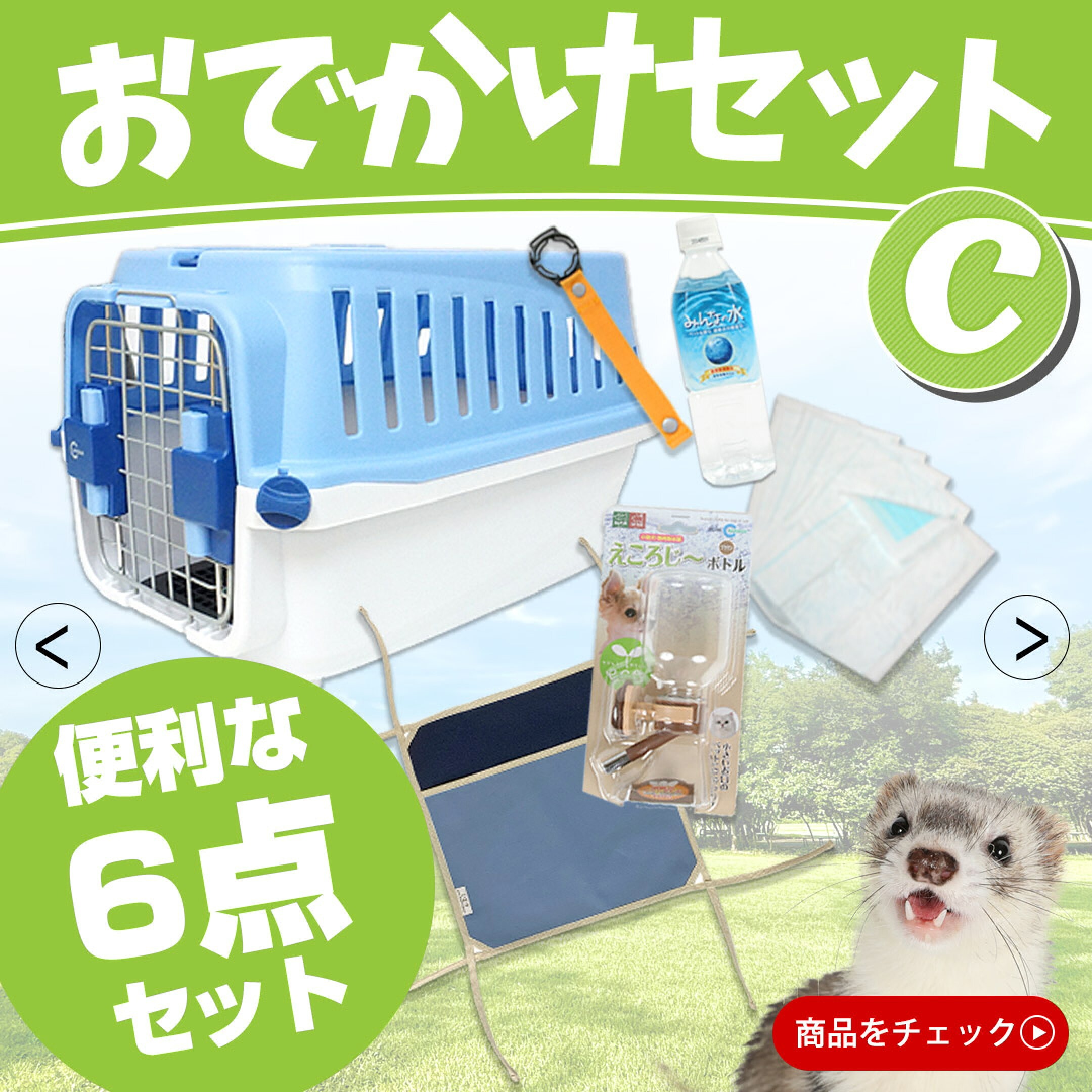 odekake0117345276.jpg