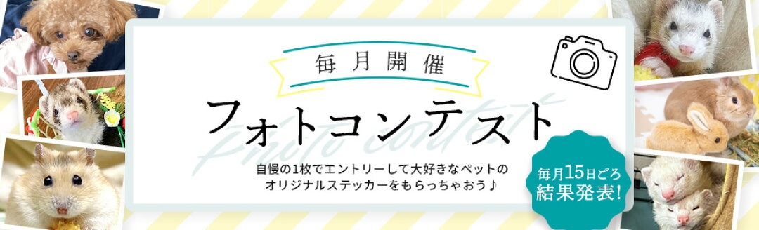 ★♥︎KaNa※プロフ確認お願いします⚠️★国産冷凍マウス リクエスト品 冷凍☆アダルトLL カタ養殖 Mice40 冷凍マウス(10匹) パック 別途