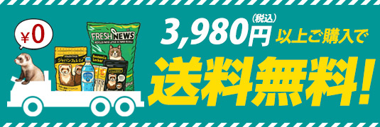 3980円以上で送料無料