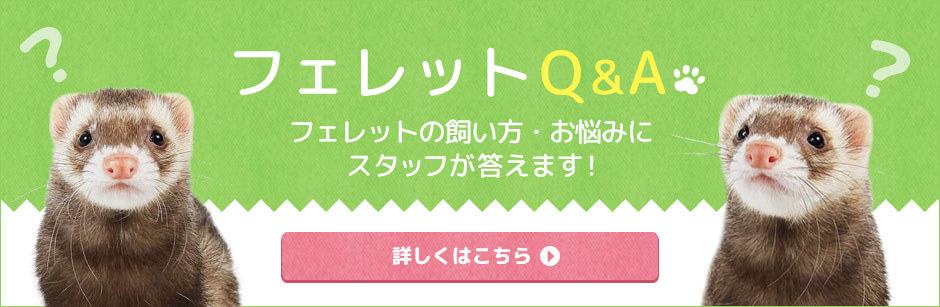 大容量】三晃商会 エコ・クリーンリター 30L【古紙原料使用】【高吸水