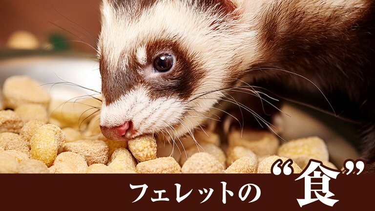 food0119831404.jpg