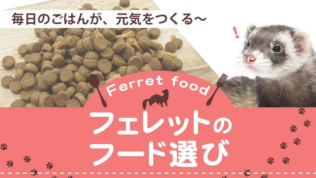 food0119831404.jpg