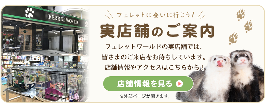 フェレットワールド実店舗情報はこちら