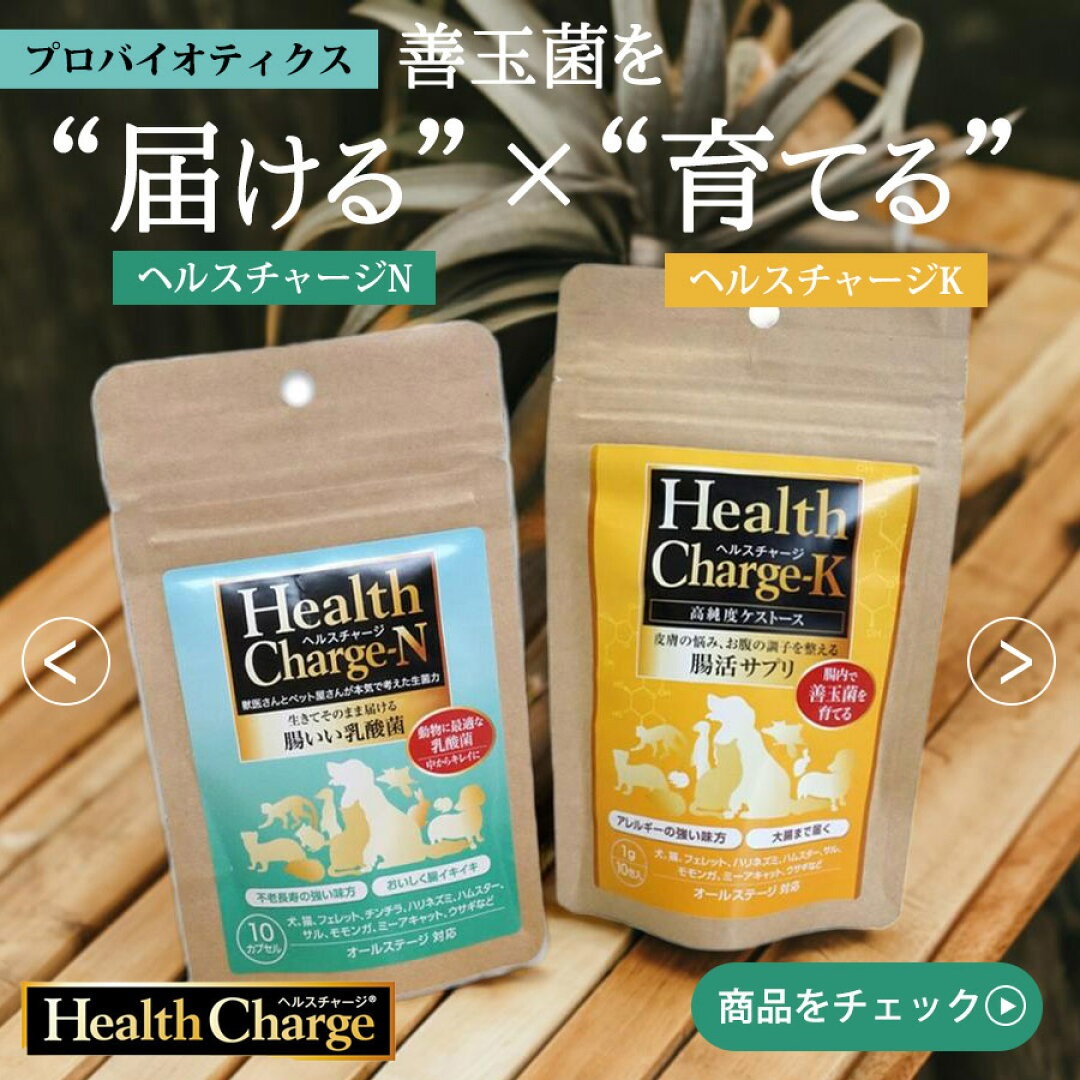 サプリメント特集