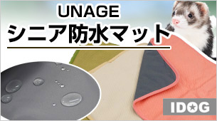 unage20260915.jpg