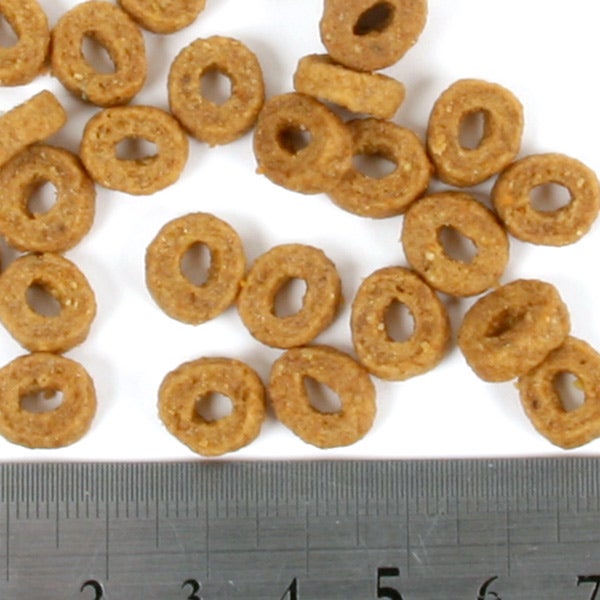 ニチドウ フェレット グロースフード 1.0kg | フェレットワールド WEB SHOP