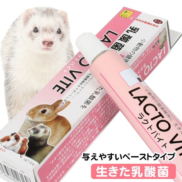【即購入不可】フェレット バイト4点セット FerretVite ラクトバイト 三晃商会 【乳酸菌】ラクトバイト | フェレットワールド WEB SHOP