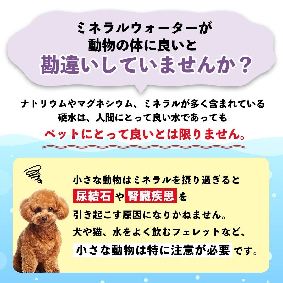 放射能未検出】みんなの水2L ヘルスチャージシリーズ【ペットの飲料水