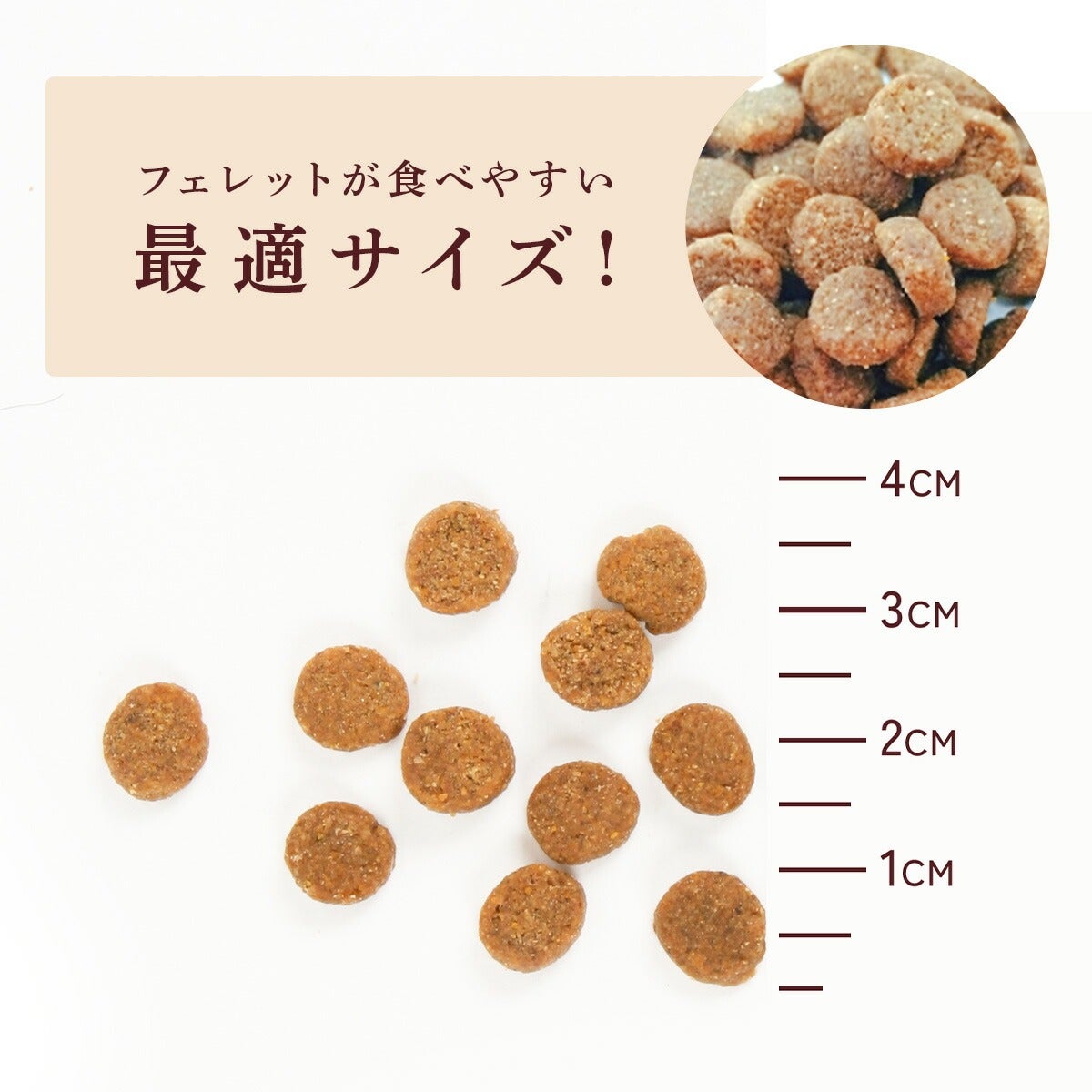 フェレット 【送料無料】フェレットフード ジャパンフェレミアム1.5kg