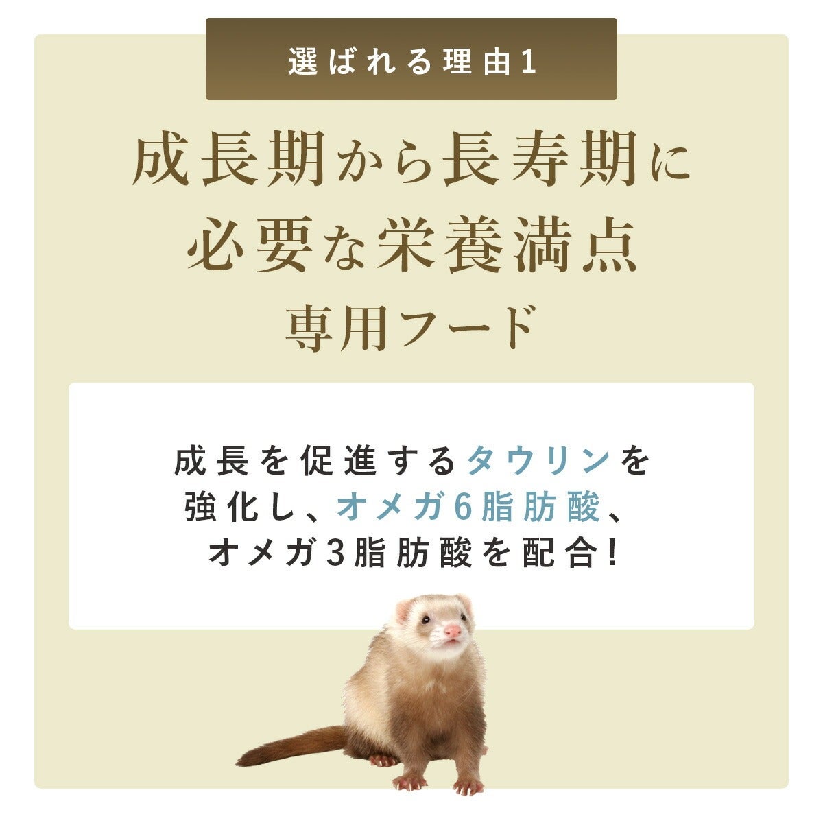 フェレットフード｜ジャパンフェレミアム1.5kg｜国産 オールステージ