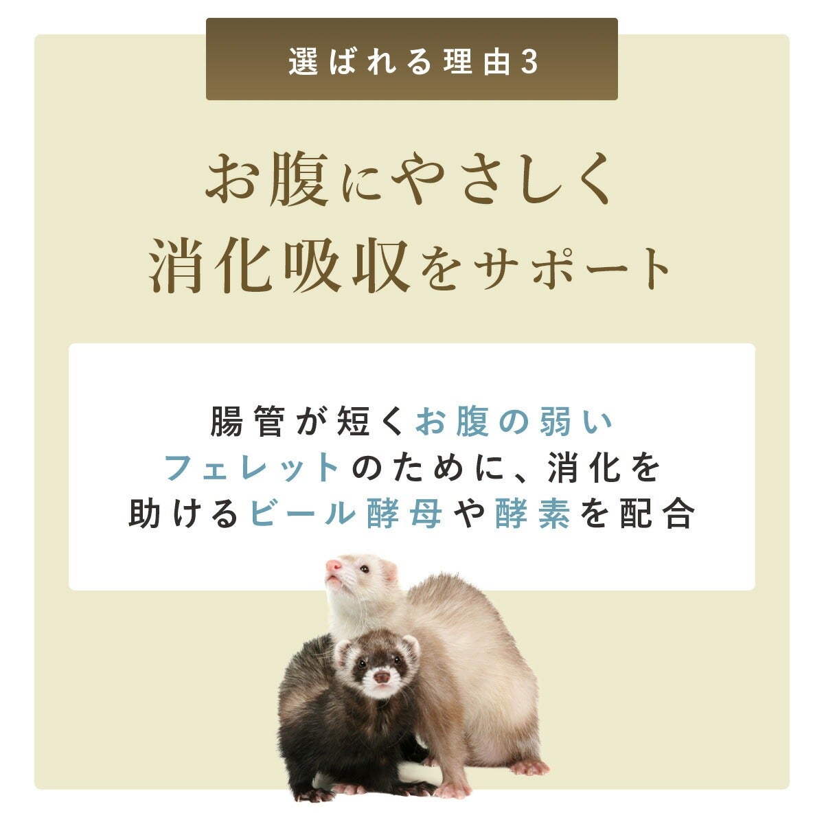 フェレットフード｜ジャパンフェレミアム1.5kg｜国産 オールステージ