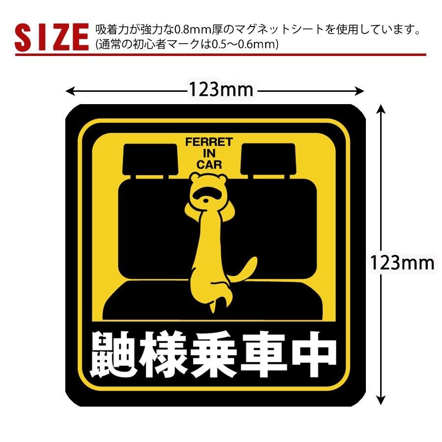 000000001053-04.jpg?size=l&w=