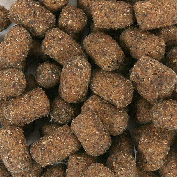 マズリ フェレットダイエット 350g【オールステージ】 | フェレット