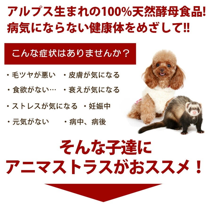 アニマストラス 顆粒タイプ100g | フェレットワールド WEB SHOP