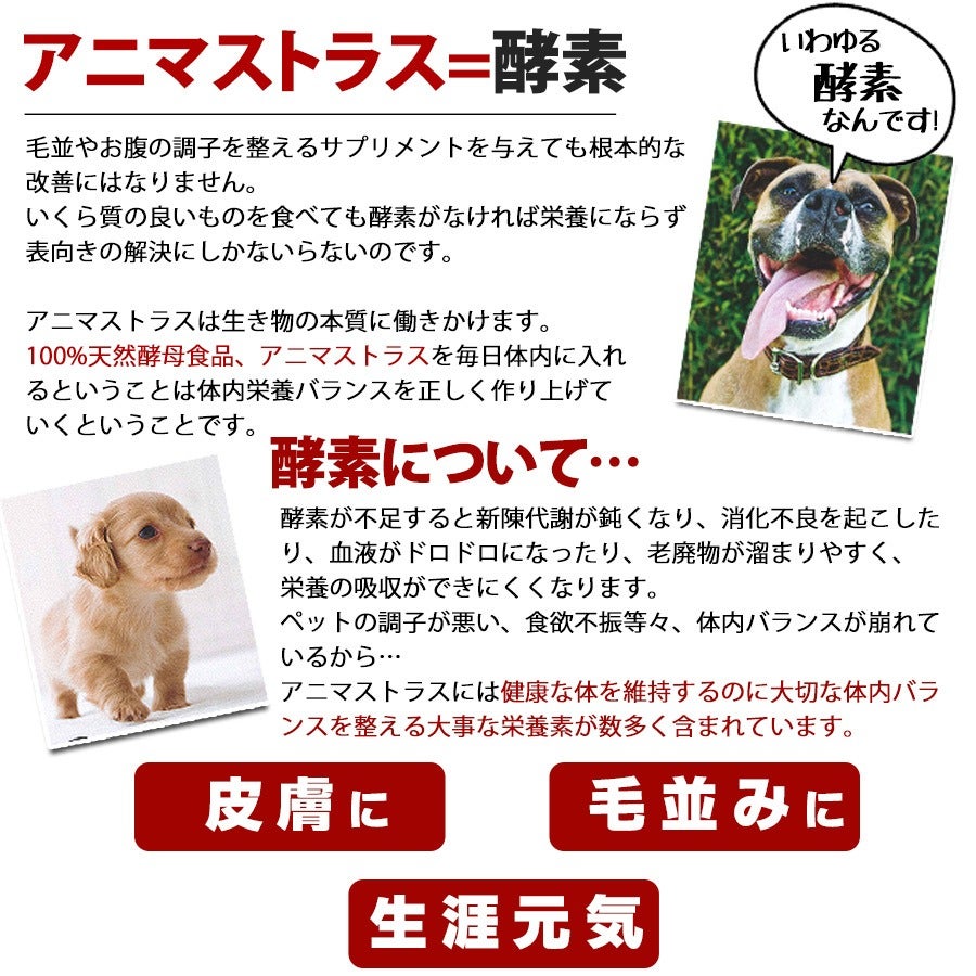 アニマストラス 顆粒タイプ100g | フェレットワールド WEB SHOP