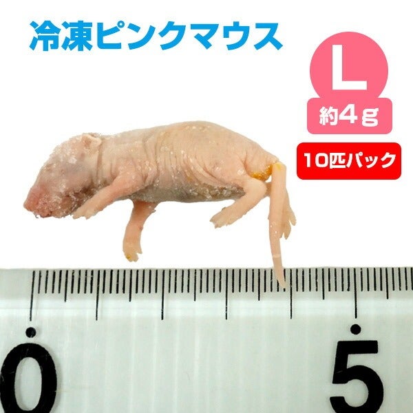 000000001958-01.jpg?size=l&w=