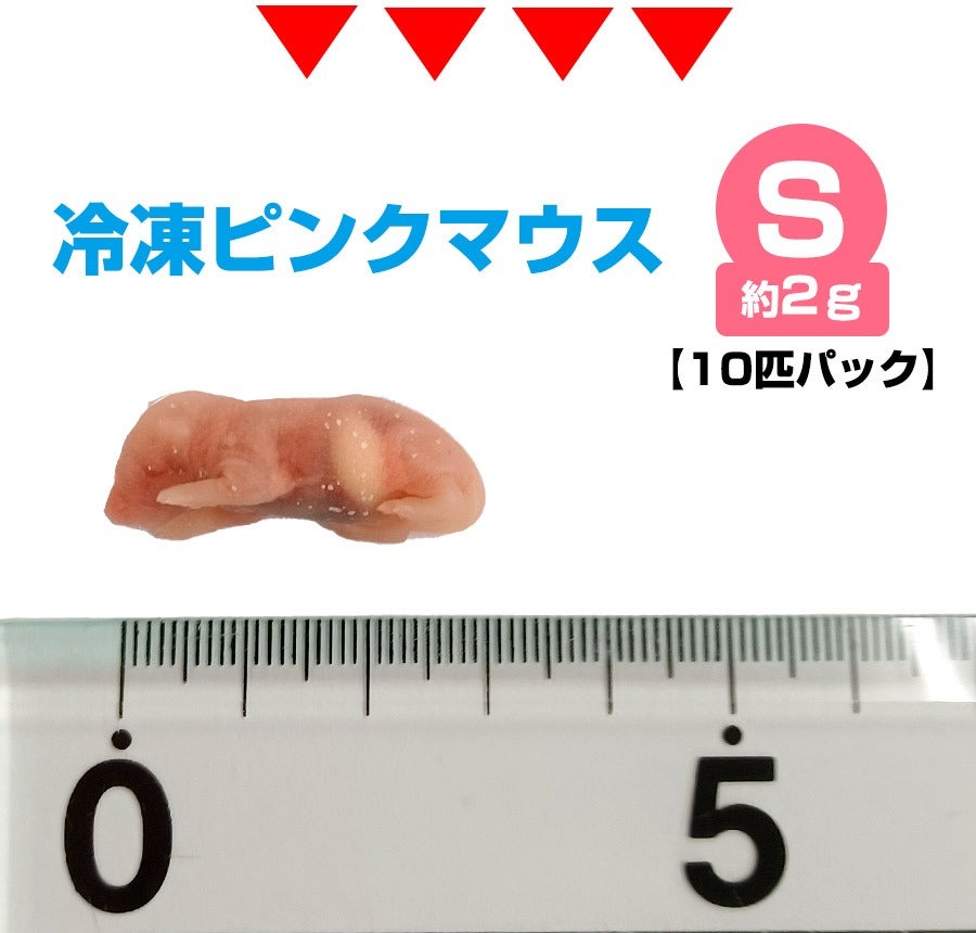 国産冷凍マウス ピンクS 100匹（送料無料一部地域発送不可) ZAZOO 国産 冷凍マウス ピンクマウスSS 1〜2 g 約2.5 cm 真空 個別包装