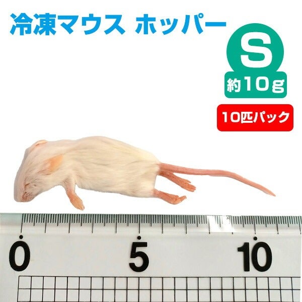 国産冷凍マウス ホッパー 50匹 (送料無料一部地域発送不可) 冷凍】 冷凍マウス ホッパー Sサイズ（約10g）10匹パック（T2