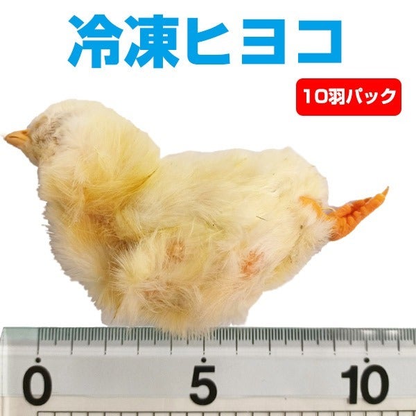 000000001965-01.jpg?size=l&w=