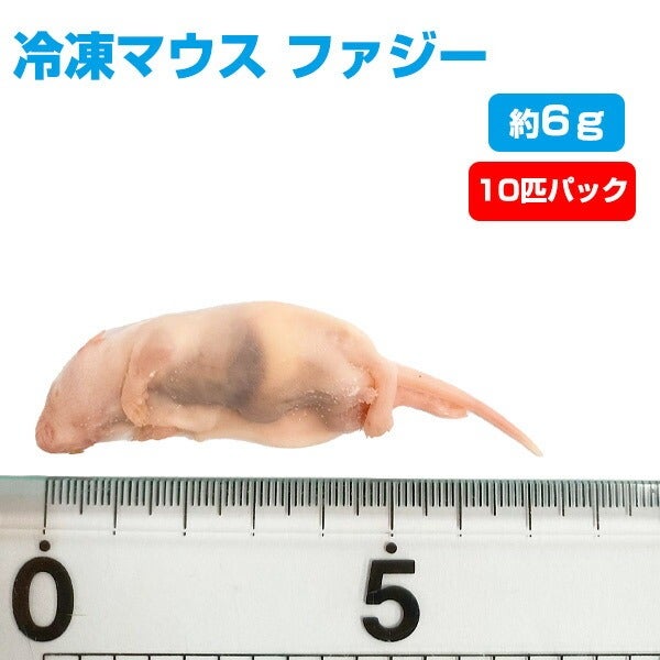 000000002007-01.jpg?size=l&w=