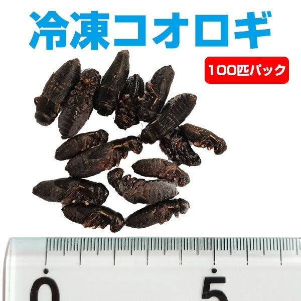 000000002034-01.jpg?size=m&w=