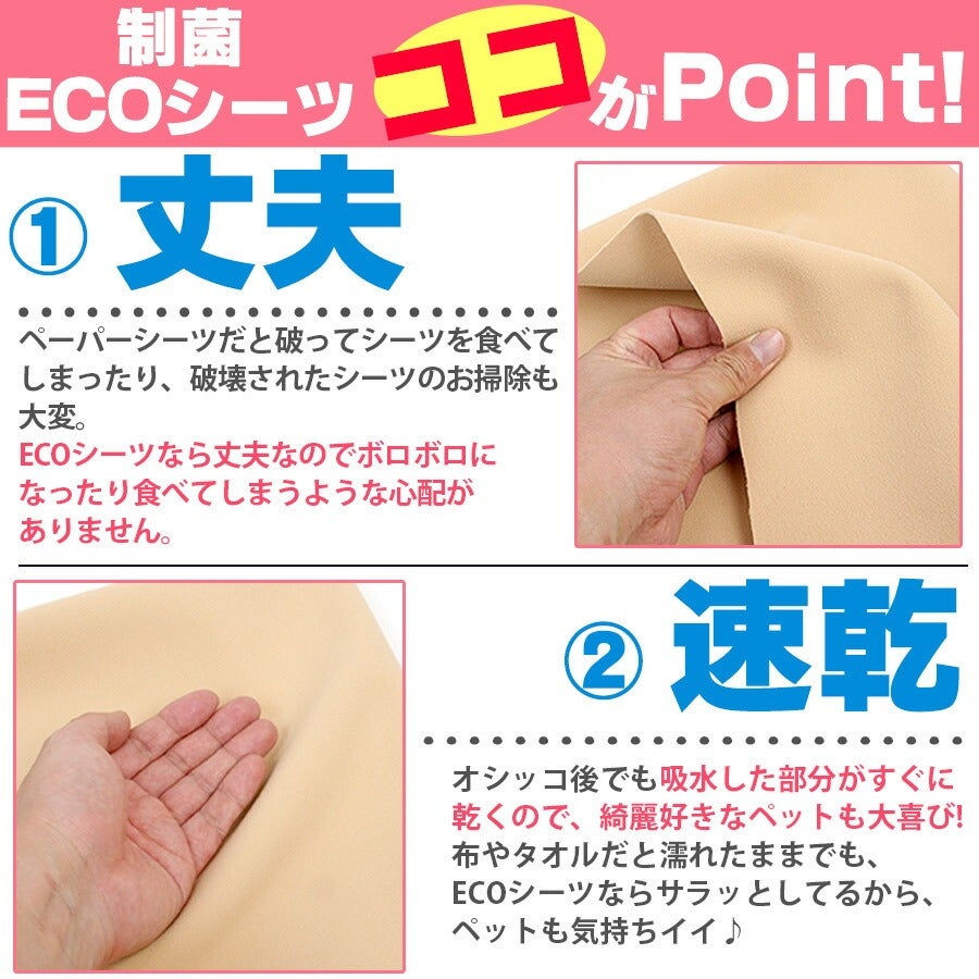 PP】洗えるペットシーツ 制菌ECOシーツプレミアム2 Sサイズ（5816