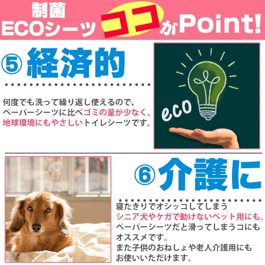 PP】洗えるペットシーツ 制菌ECOシーツプレミアム2 Sサイズ（5816