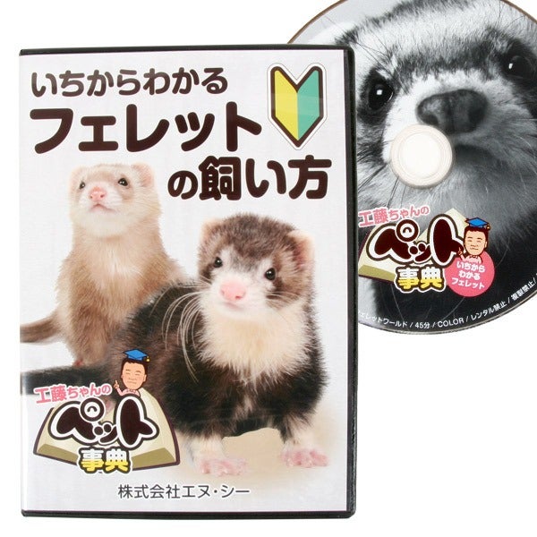 先着限定サイン付き】いちからわかる フェレットの飼い方 DVD【メール
