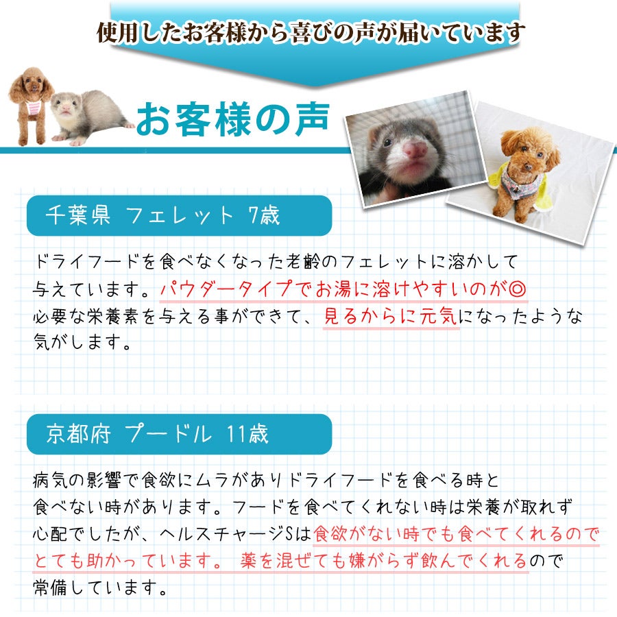 正規品】ヘルスチャージ-S 高栄養パウダーフード500g（シリンジ付き