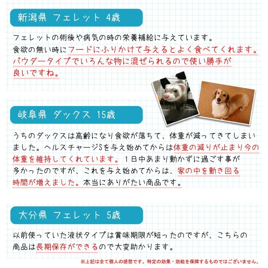 正規品】ヘルスチャージ-S 高栄養パウダーフード500g【栄養補給