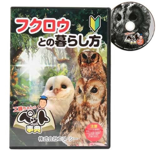 先着限定サイン付き】フクロウとの暮らし方 DVD（NK）【メール便可