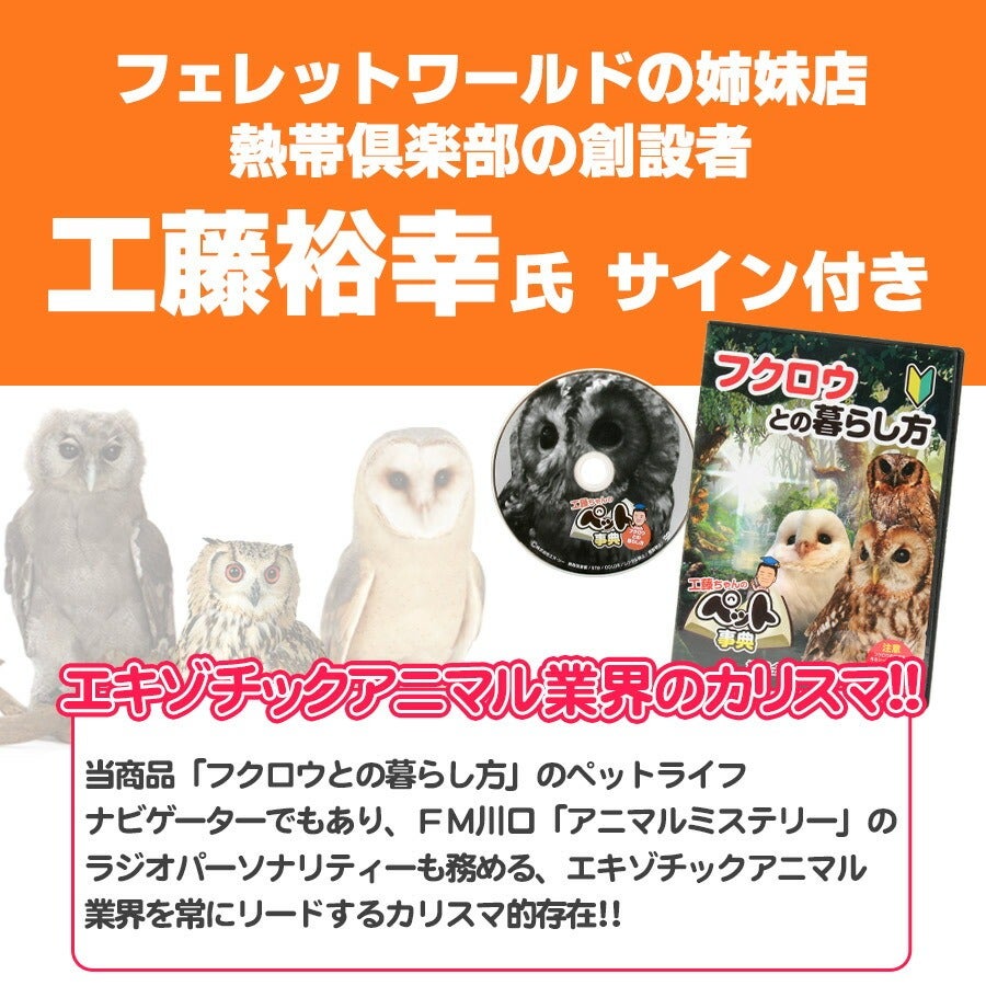 先着限定サイン付き】フクロウとの暮らし方 DVD（NK）【メール便可