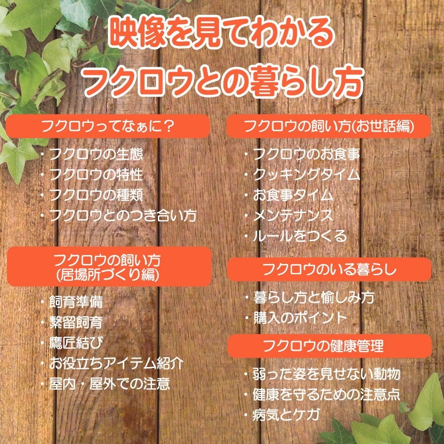 先着限定サイン付き】フクロウとの暮らし方 DVD（NK）【メール便可