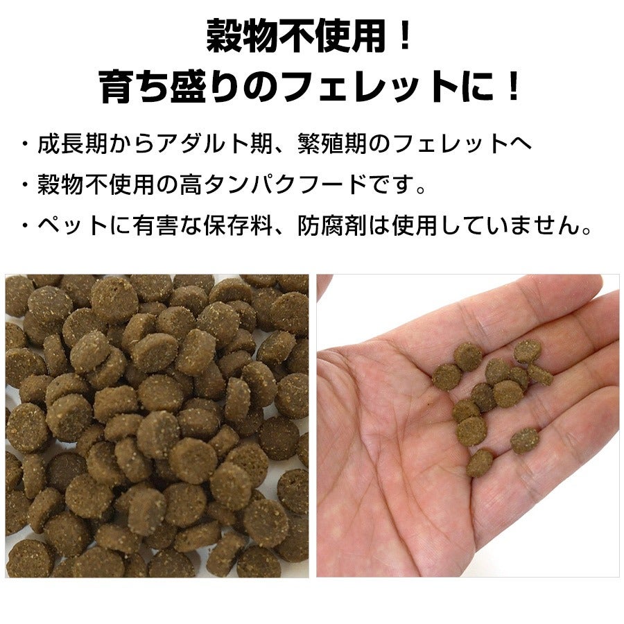 フェレットフードZF 300g【フェレット用総合栄養食】【当店限定