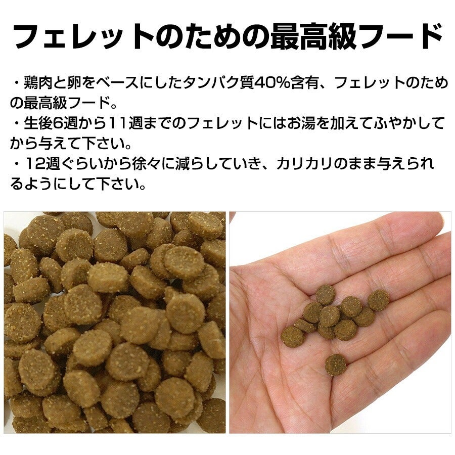 フェレットフードZ 300g【フェレット用総合栄養食】【当店限定